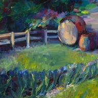 Picchetti winery barrels with Van Gogh's irises in the foreground
